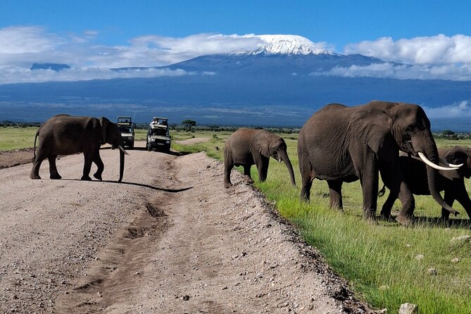 Final Game Drive and Departure
