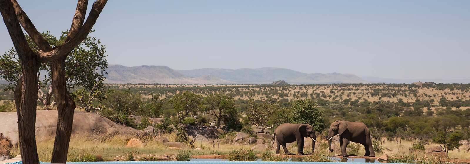مكان الإقامة المقترح: Four Seasons Safari Lodge Serengeti Image 1