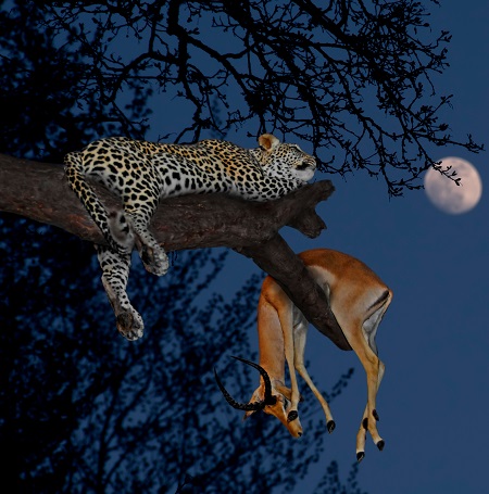Serengeti National Park