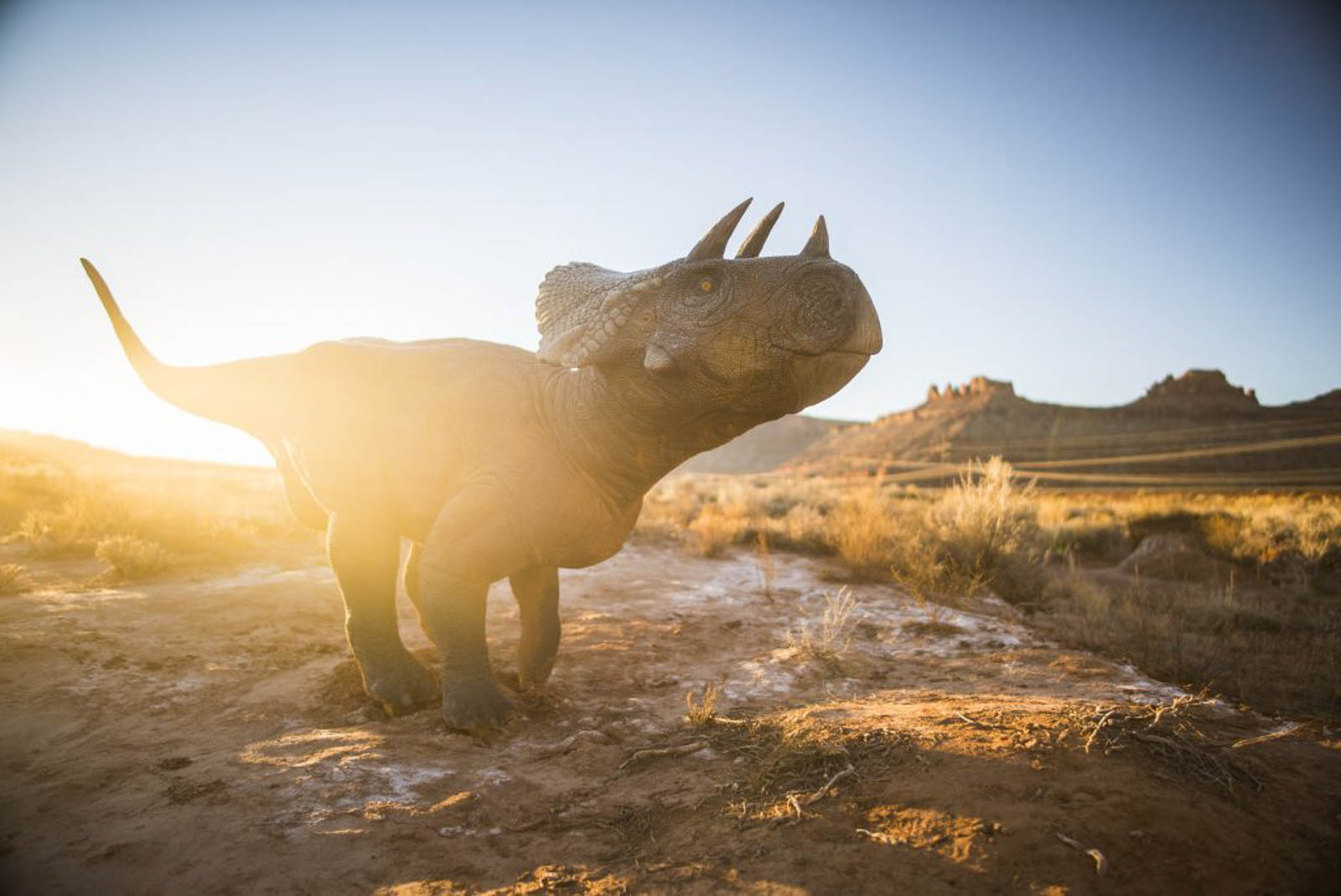 Moab Giants Dinosaur Park