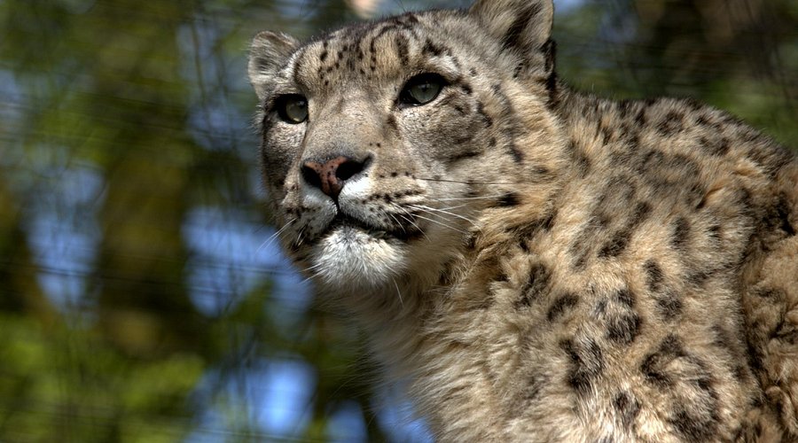 Lakeland Wildlife Oasis