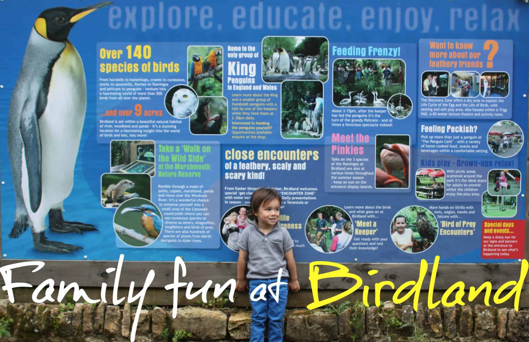 Cotswold Birdland Park & Gardens