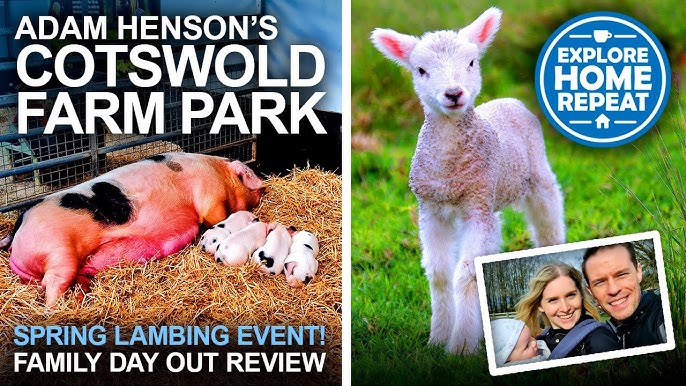 Cotswold Farm Park