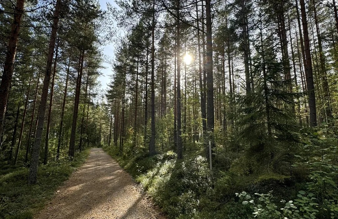 Lugnet Nature Reserve