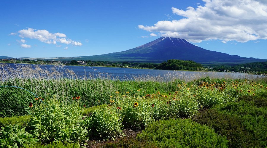 Oishi Park