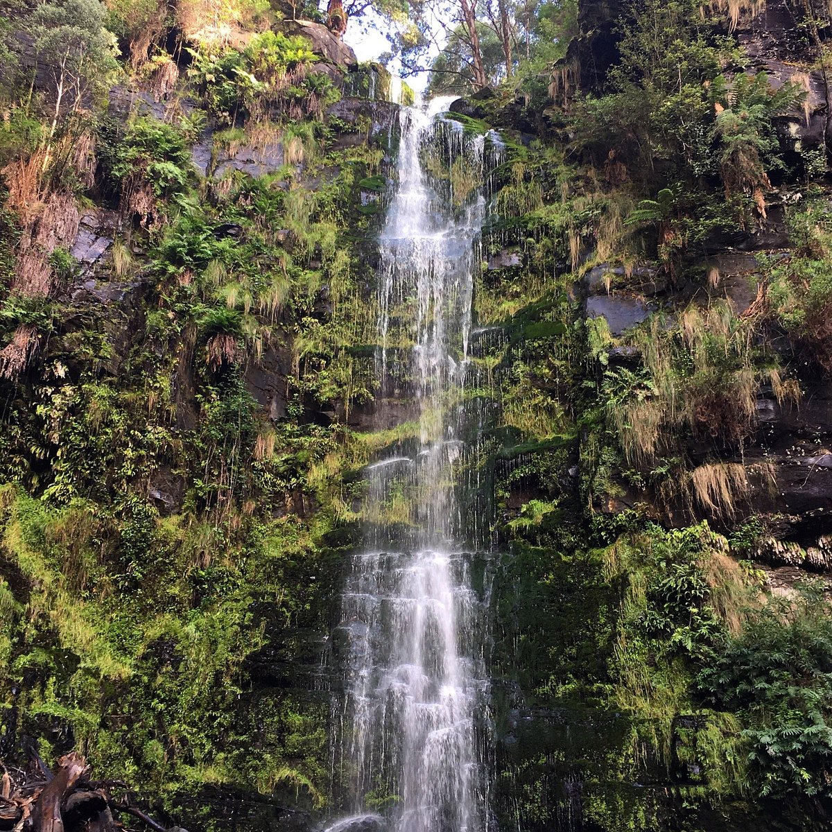 Erskine Falls