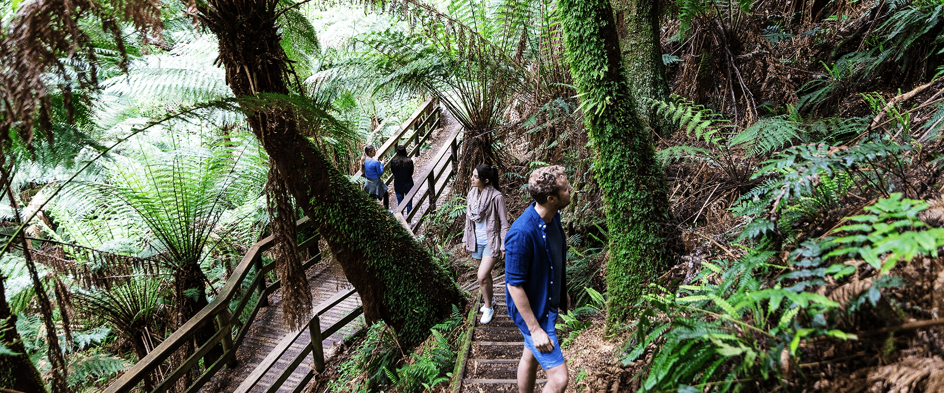 Great Otway National Park