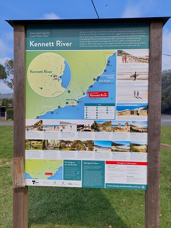 Kennett River Koala Walk