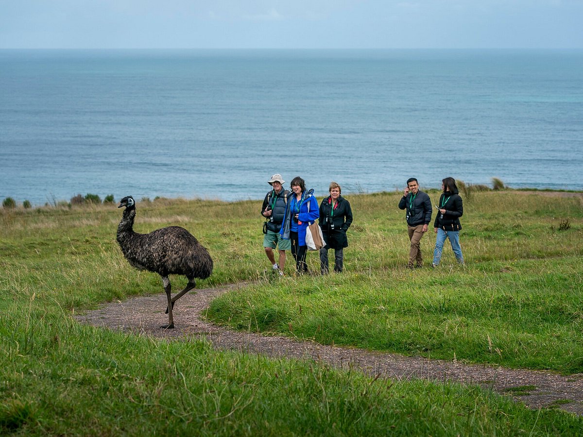 Wildlife Wonders Sanctuary