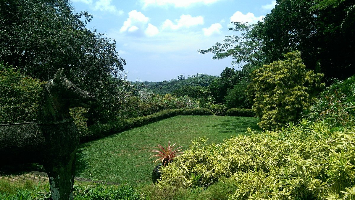 Brief Garden by Bevis Bawa