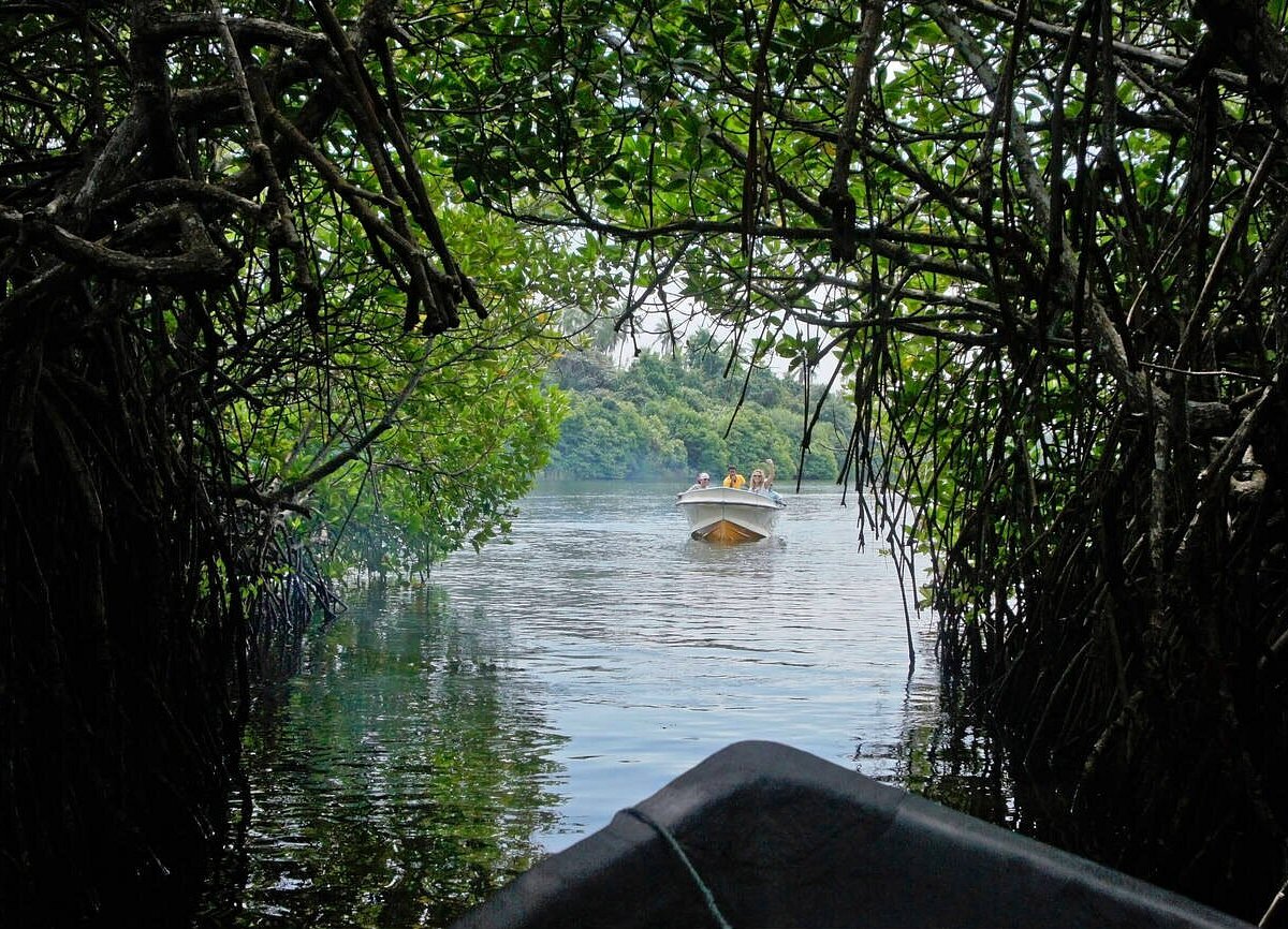 Madu Ganga