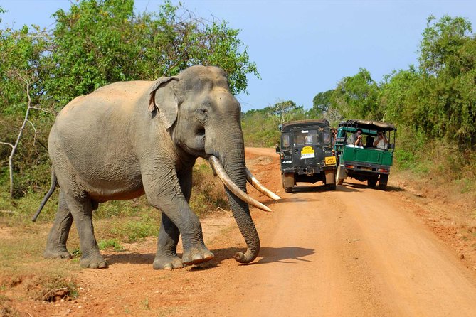 Udawalawe National Park
