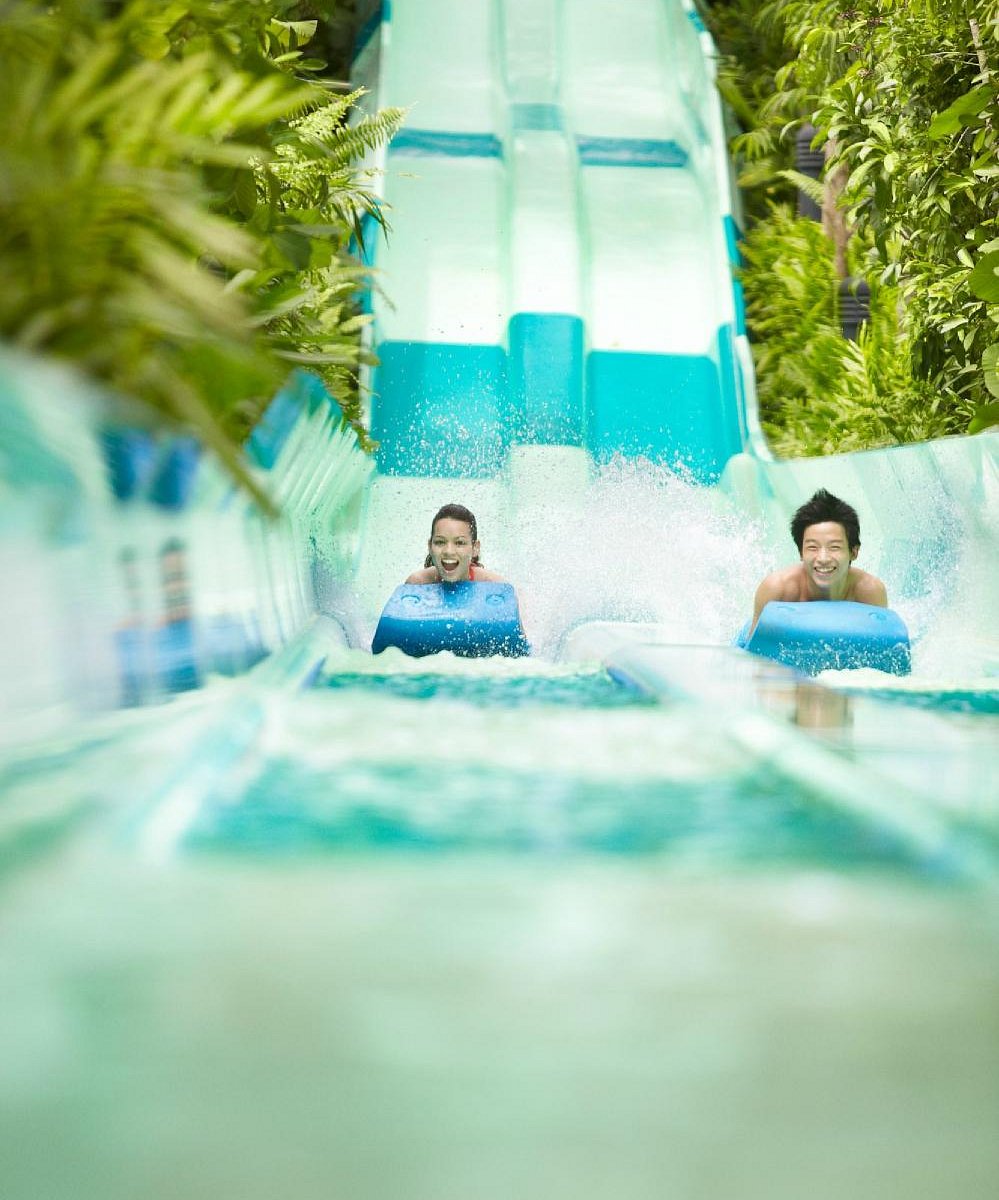 Adventure Cove Waterpark
