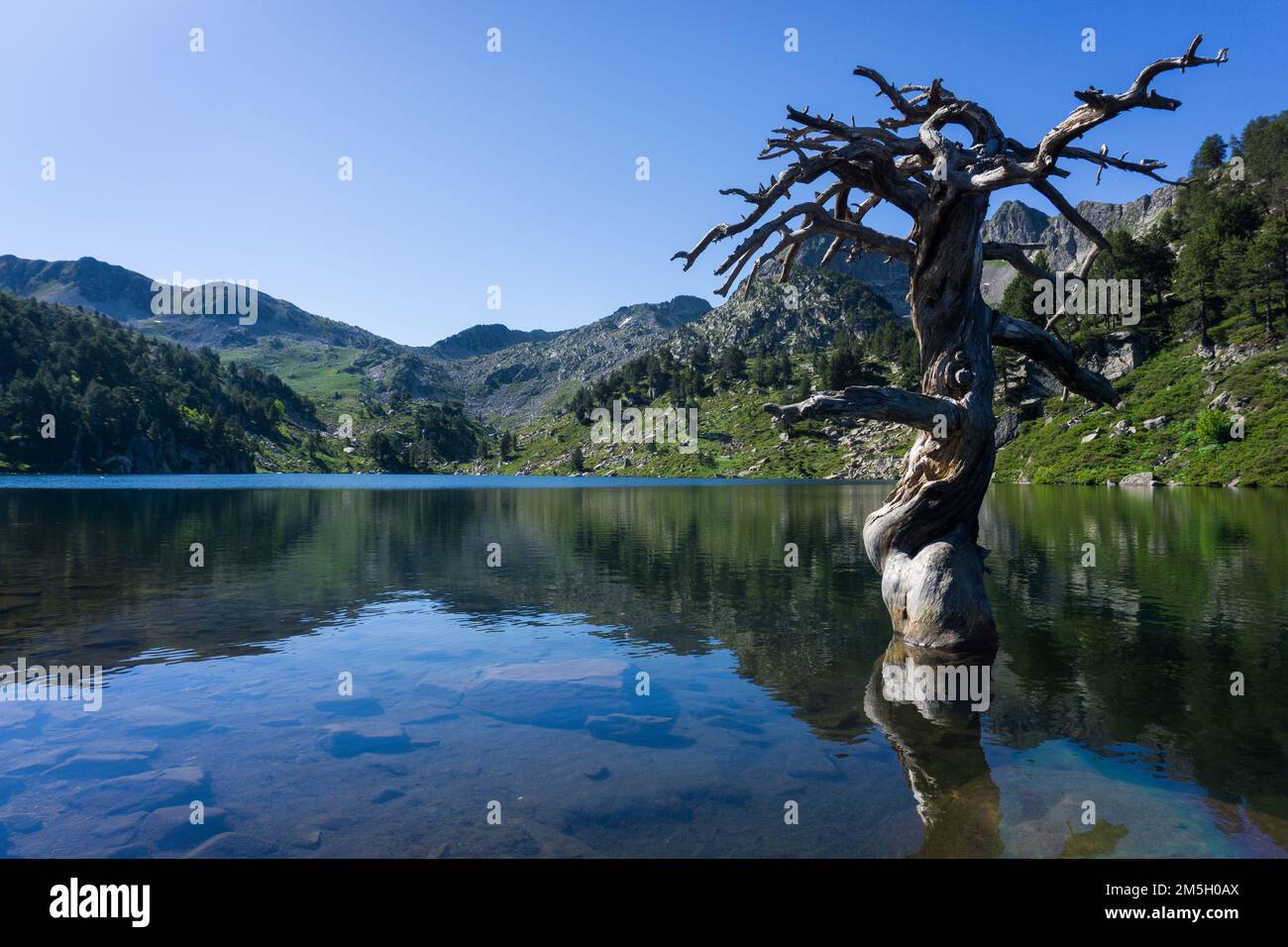 Lake Baciver