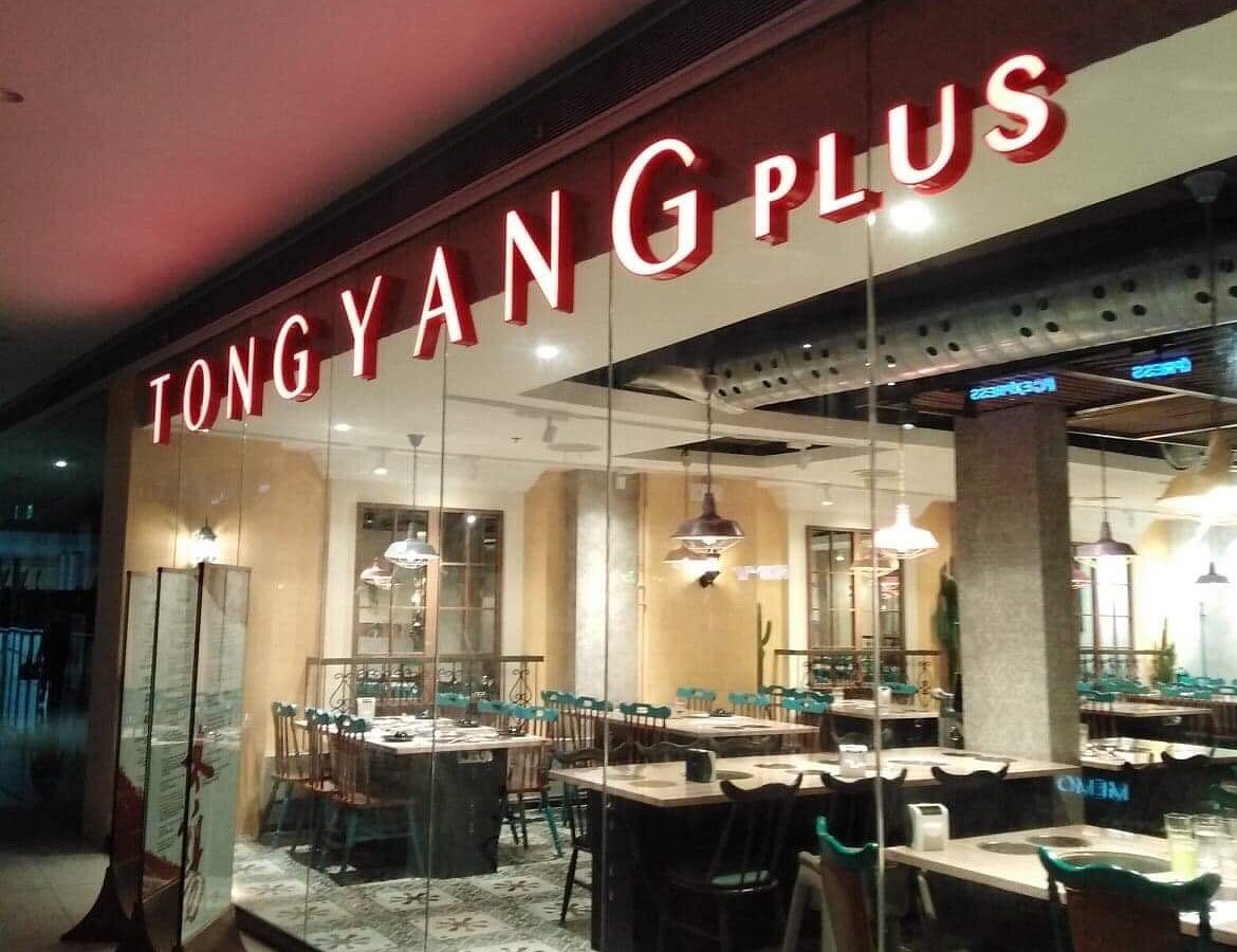 Tong Yang Plus