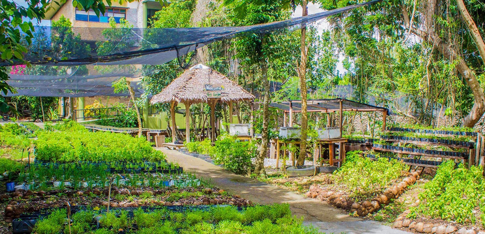 Bohol Bee Farm