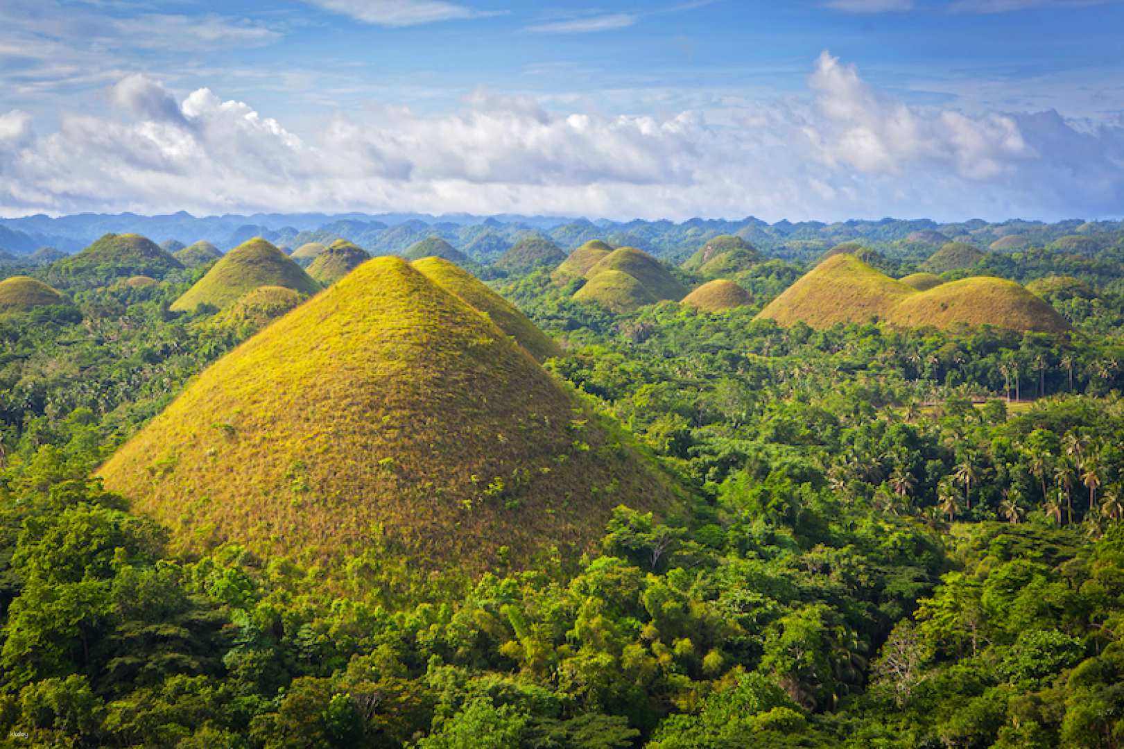 Chocolate Hills