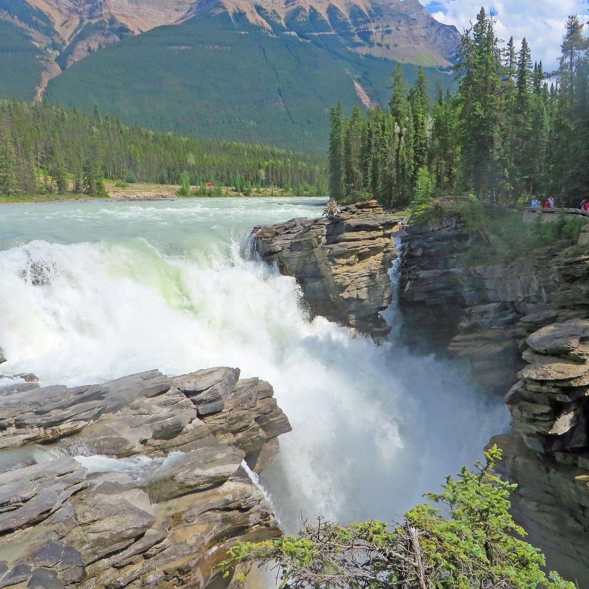 Athabasca Falls