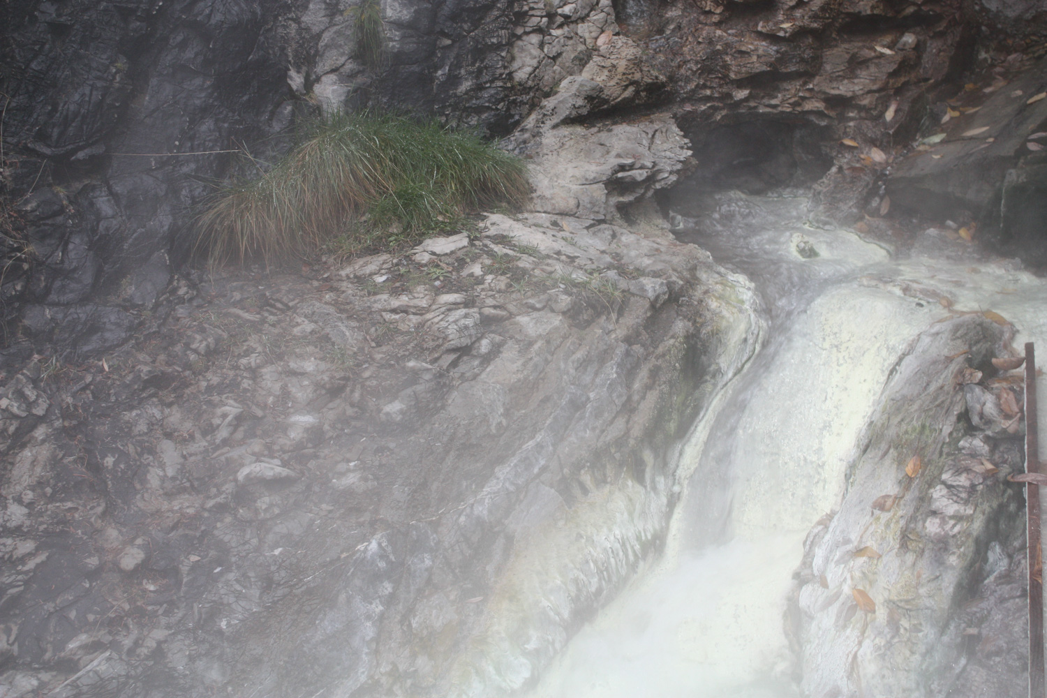 Miette Hot Springs