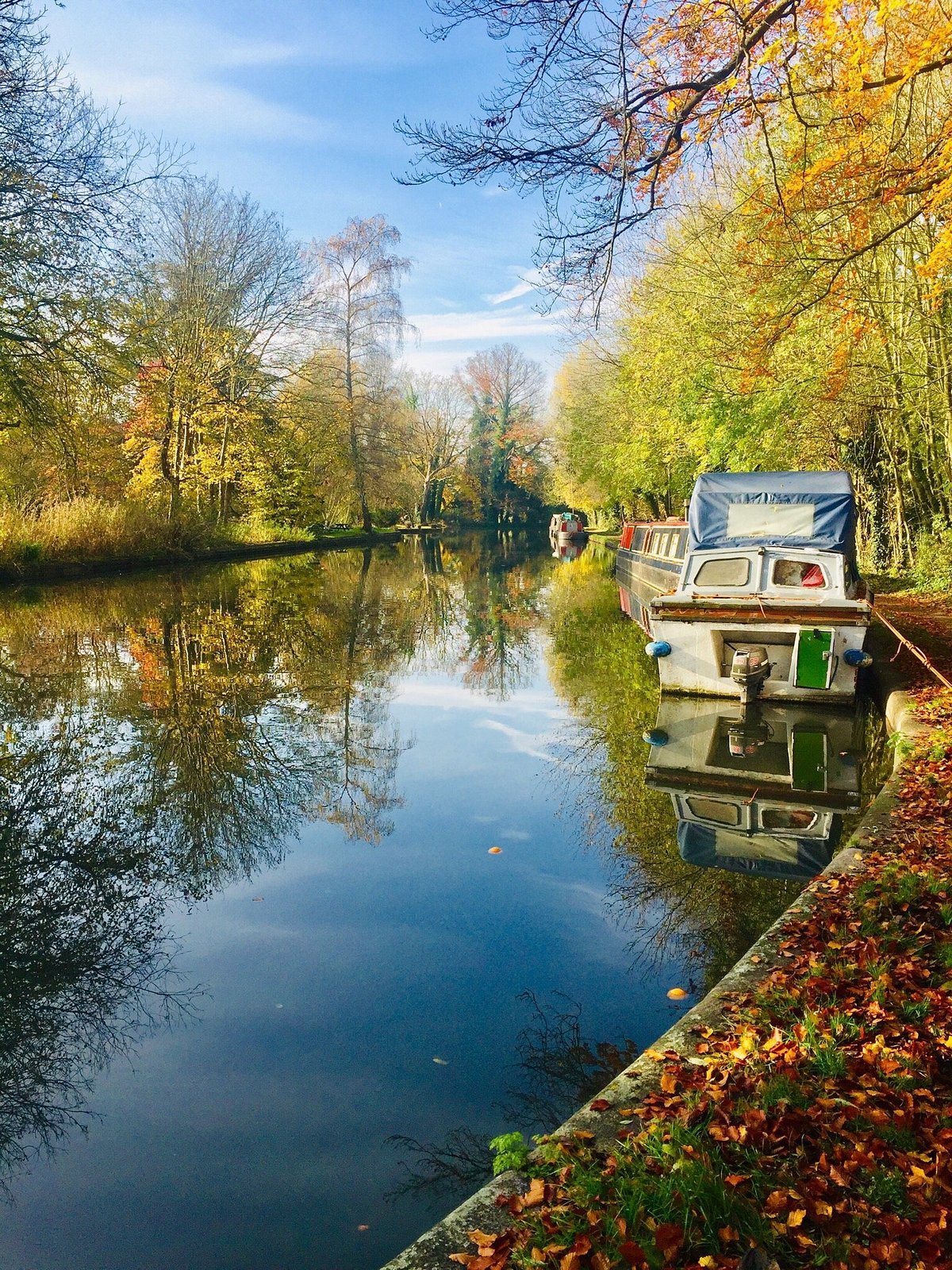 Cassiobury Park