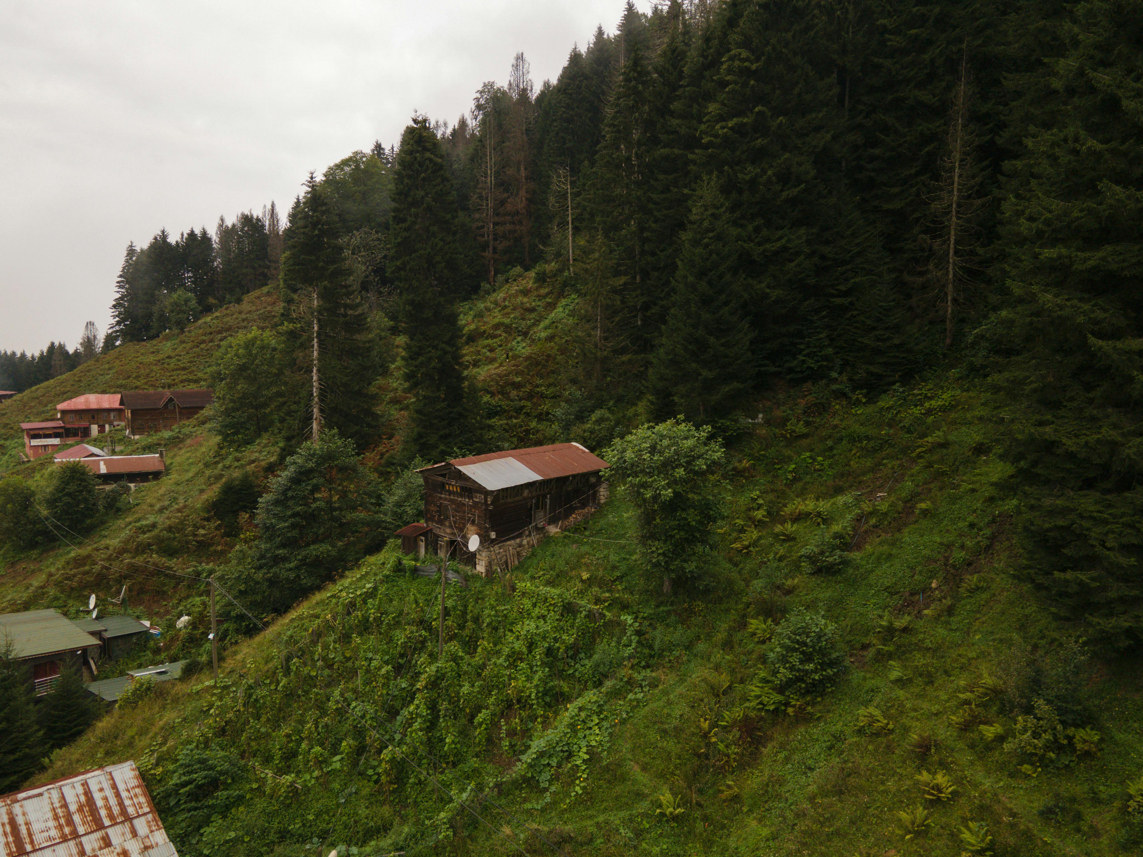 Ayder Yaylası