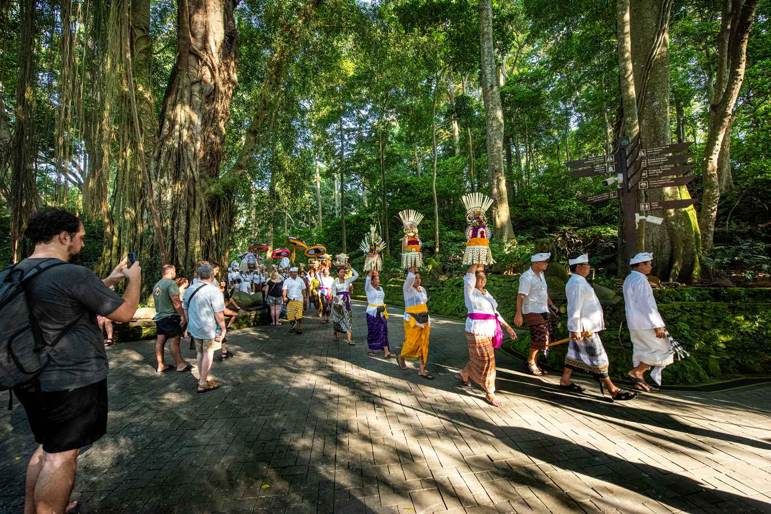 Sacred Monkey Forest Sanctuary