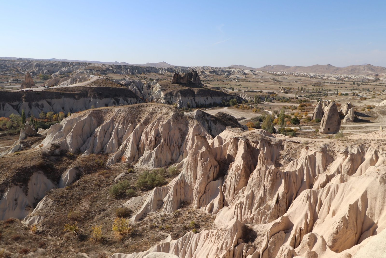 Rose Valley