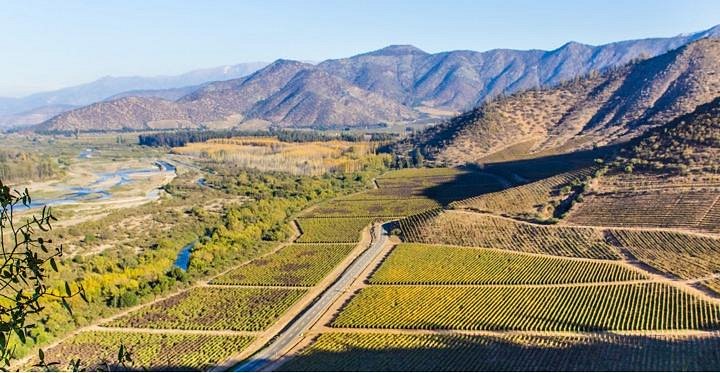 Maipo Valley