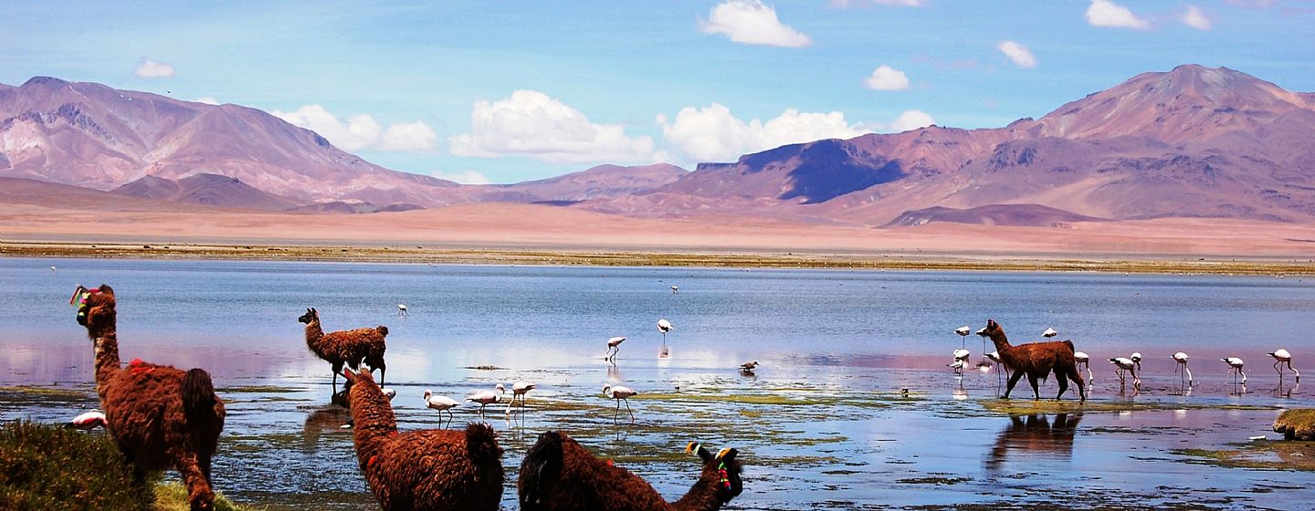 San Pedro de Atacama