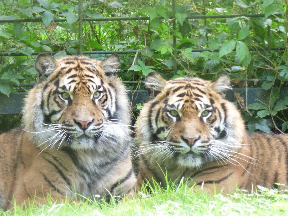 منتزه أوتير أوف أفريكا