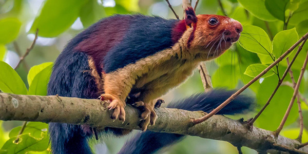 محمية ساتبورا الوطنية