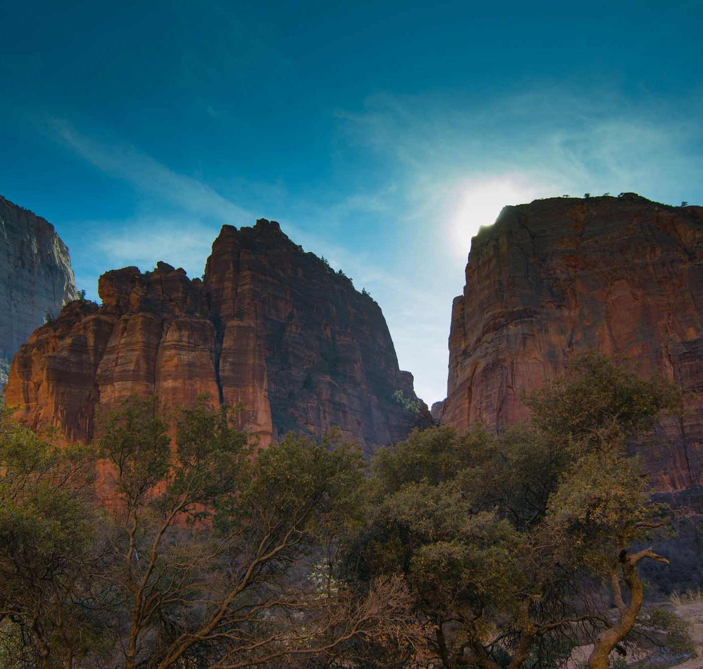 منتزه صهيون الوطني