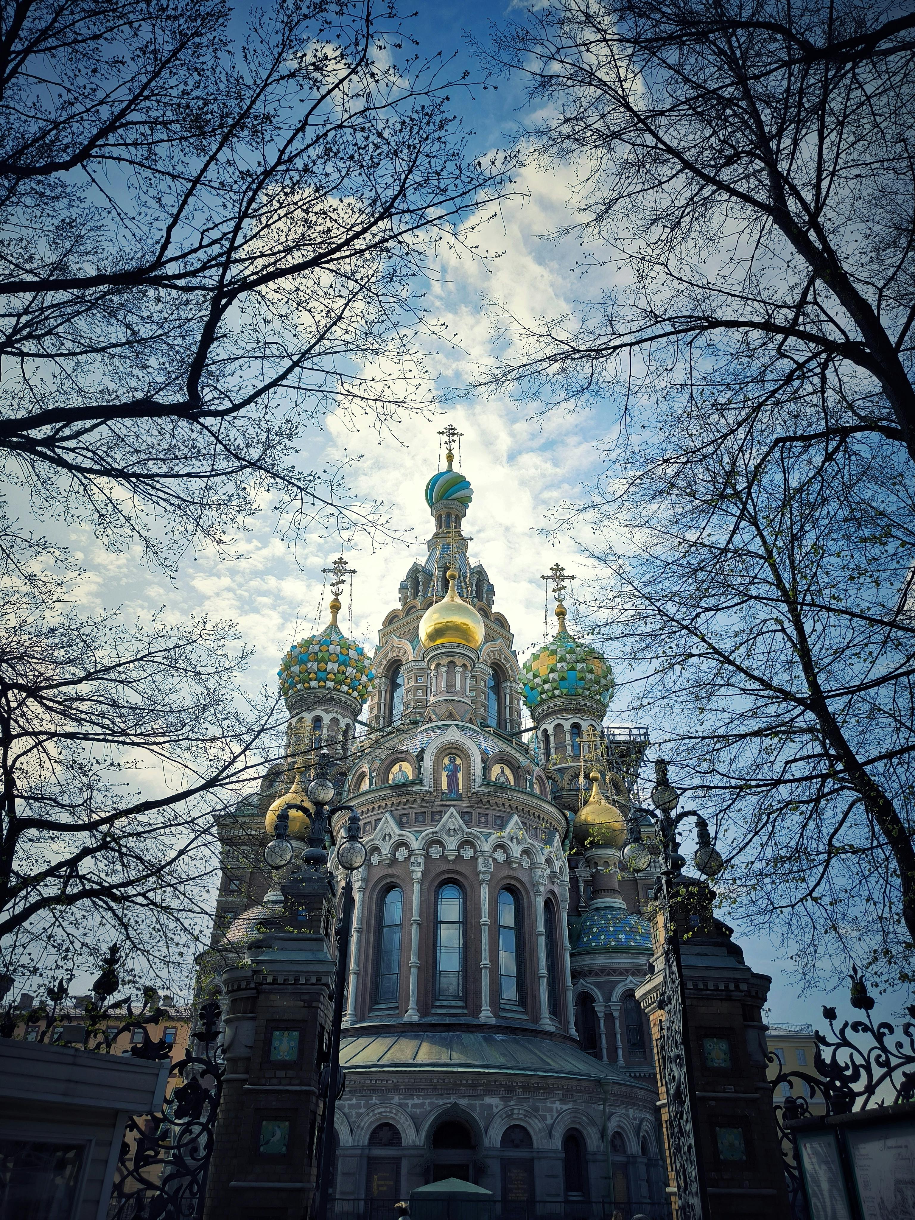 حديقة ميخايلوفسكي