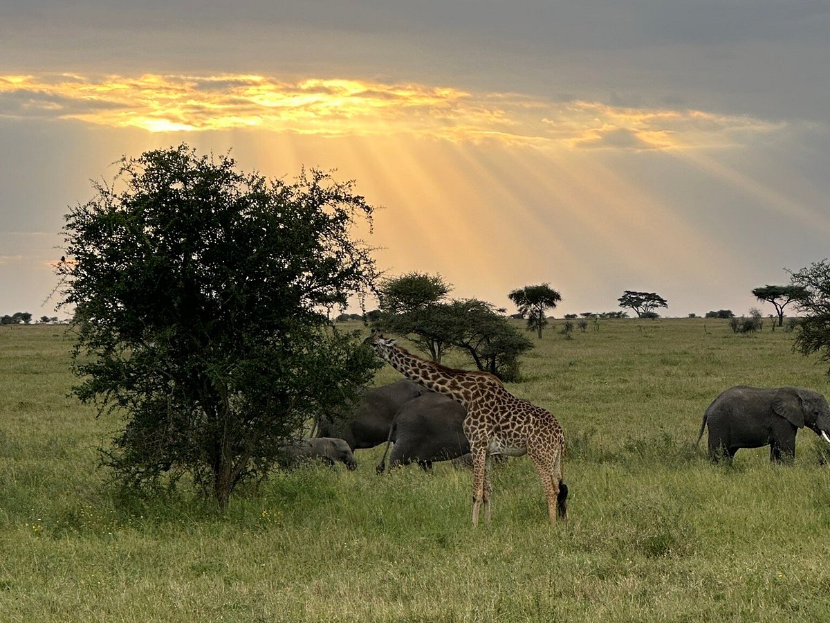 Serengeti National Park