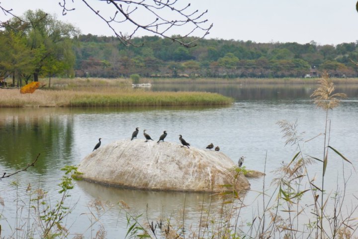 Cheongcho Lake