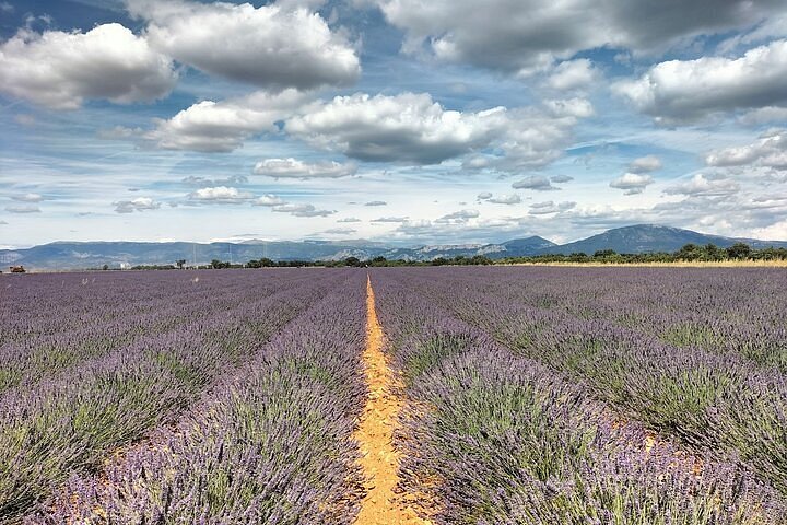 10 أنشطة رومانسية في فرنسا