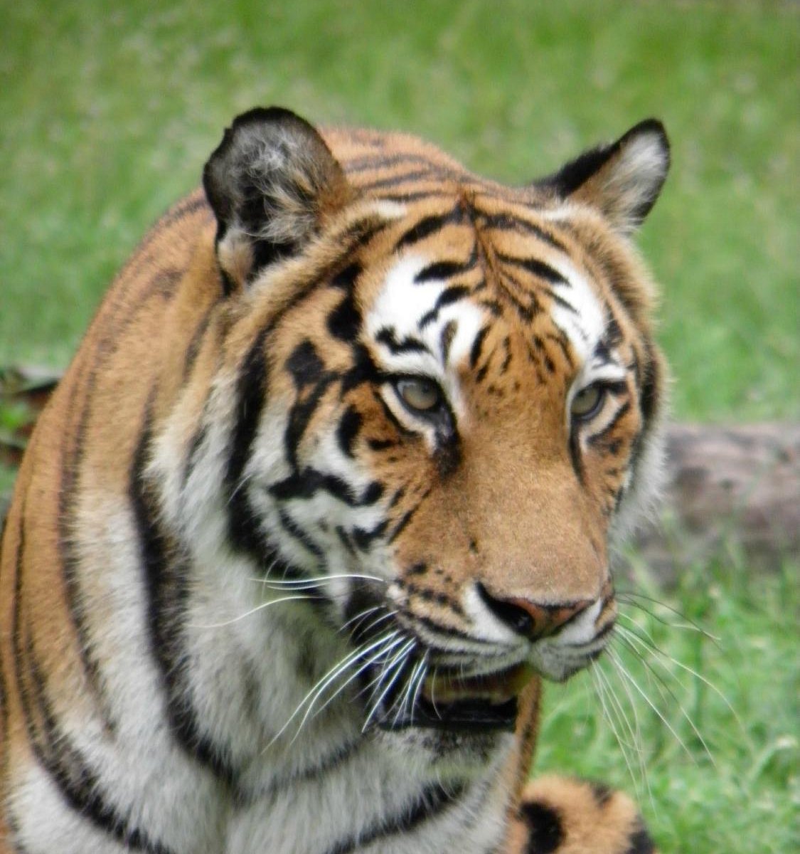 Zoo Miami