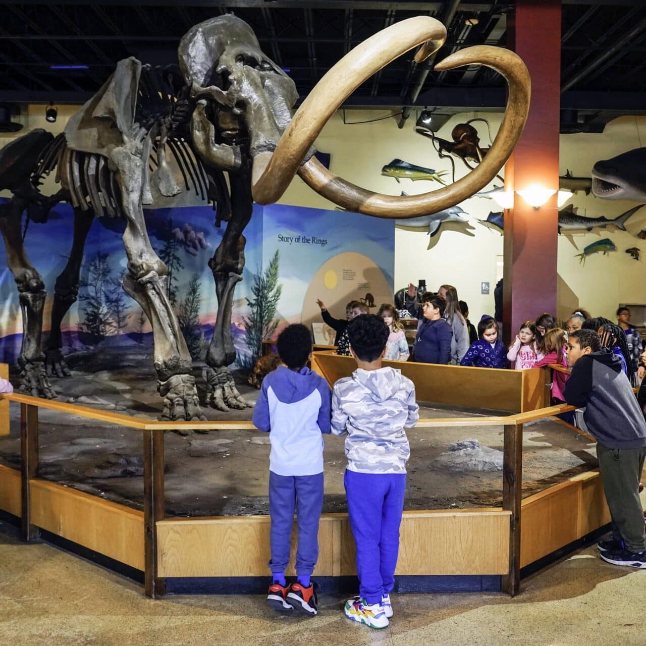 Museum of Science