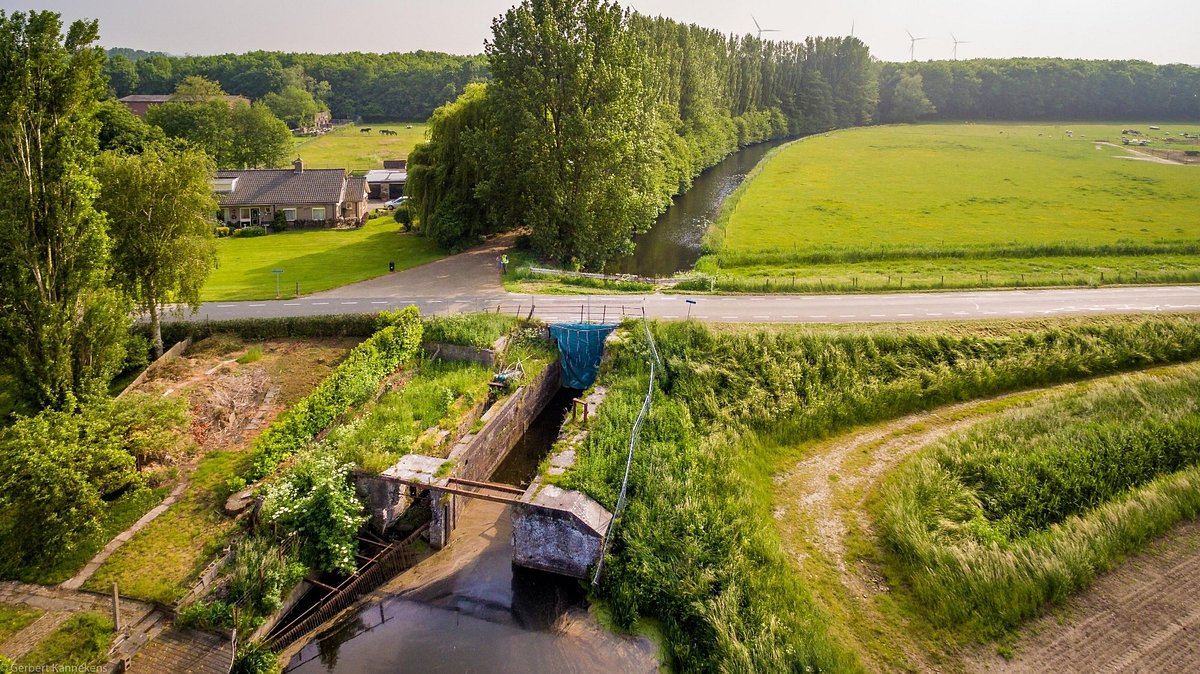 منتجع سفاري بيكسي بيرخن